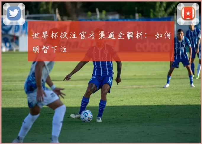 世界杯投注官方渠道全解析:如何明智下注