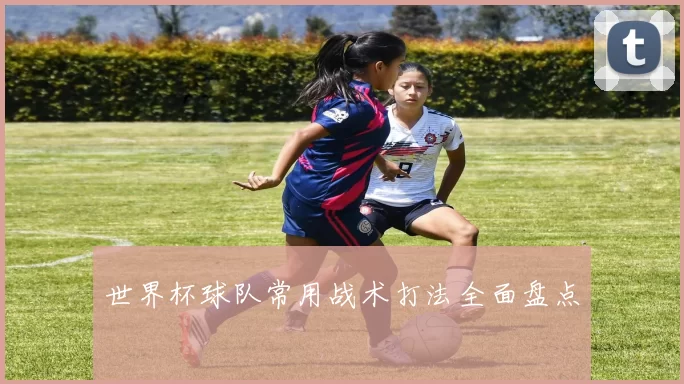 世界杯球队常用战术打法全面盘点