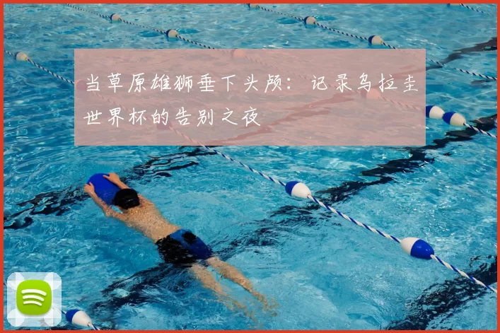当草原雄狮垂下头颅:记录乌拉圭世界杯的告别之夜