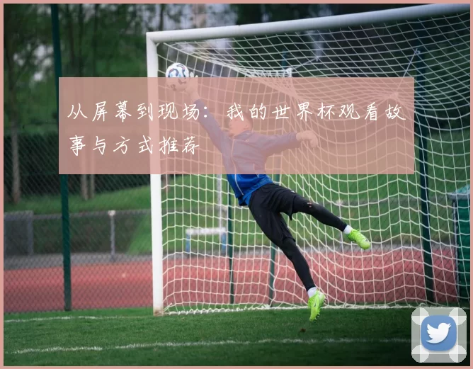 从屏幕到现场:我的世界杯观看故事与方式推荐
