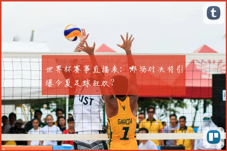 世界杯赛事直播表:哪场对决将引爆今夏足球狂欢?