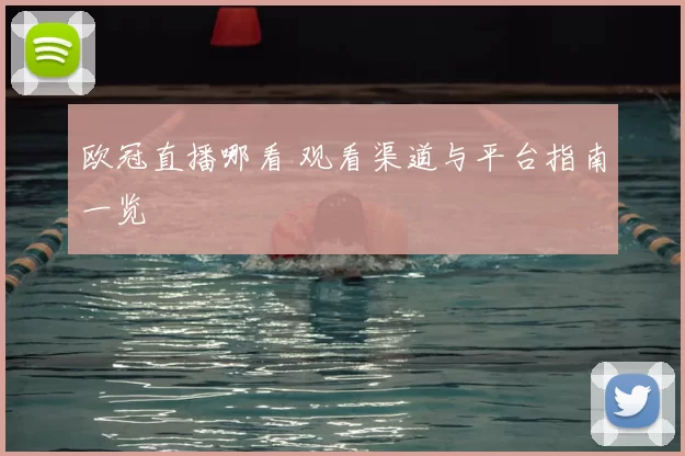 欧冠直播哪看 观看渠道与平台指南一览