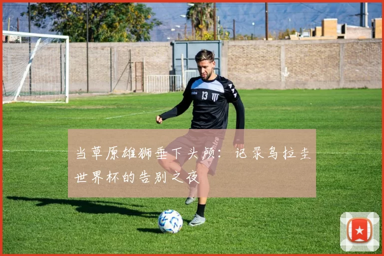 当草原雄狮垂下头颅:记录乌拉圭世界杯的告别之夜