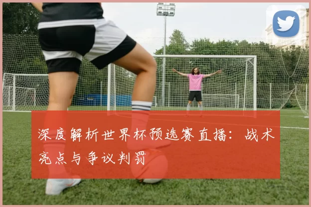 深度解析世界杯预选赛直播:战术亮点与争议判罚