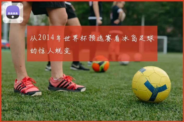 从2014年世界杯预选赛看冰岛足球的惊人蜕变