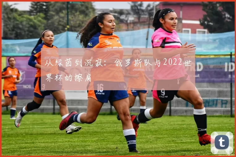 从绿茵到沉寂:俄罗斯队与2022世界杯的擦肩
