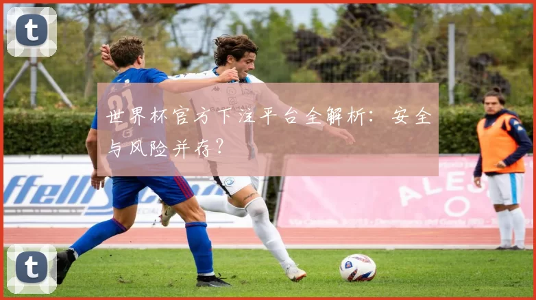 世界杯官方下注平台全解析：安全与风险并存？