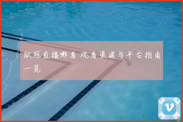 欧冠直播哪看 观看渠道与平台指南一览