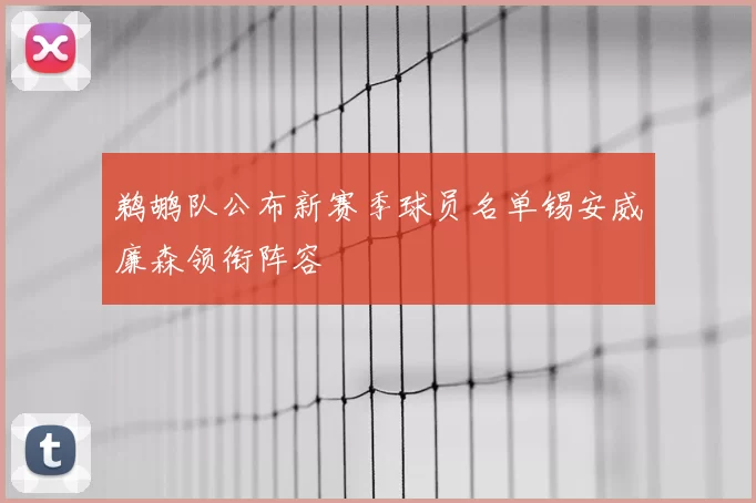 鹈鹕队公布新赛季球员名单锡安威廉森领衔阵容